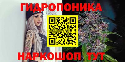 спайс Бузулук